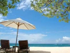 ʡǮ���м�����Ԥ�㹥��