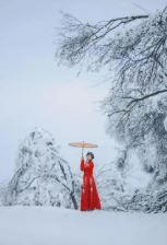 ѩ������������