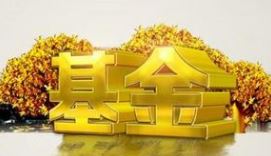 5ƫ,Ͷʲ׬Ǯ
