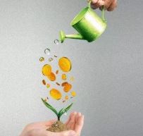 Ͷ������������ȽϺ��أ�