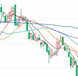 ��ο˷���Ʊ�µ��־�