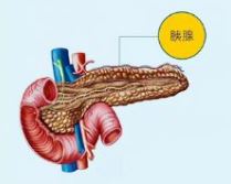 �����������ٽ���