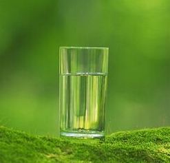 ļ˴ʶ