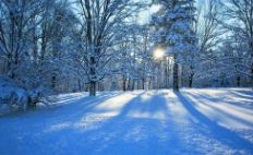 冬季如何养生？