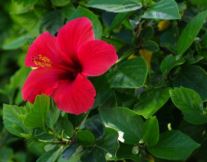 ���������ʲô����